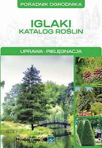 Iglaki - Mazik Michał - książka