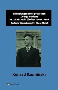 Erinnerungen eines polnischen Zwangsarbeiters - Dr. Edward Sulek - ebook