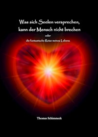 Was sich Seelen versprechen kann der Mensch nicht brechen - Thomas Schimmeck - ebook