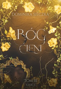 Bóg cieni. Część 1 - Dominika Sieczka - ebook + audiobook