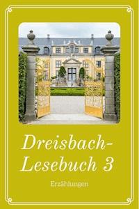 Dreisbach-Lesebuch 3 - Elisabeth Dreisbach - ebook