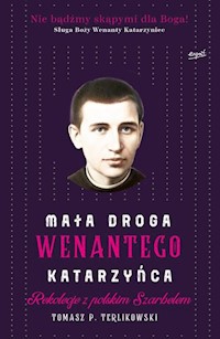 Mała droga Wenantego Katarzyńca - Terlikowski Tomasz P. - książka