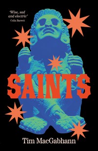 Saints - Tim MacGabhann - ebook