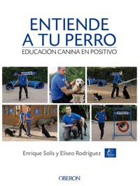 Entiende a tu perro. Educación canina en positivo - Enrique Solís Álvarez - ebook