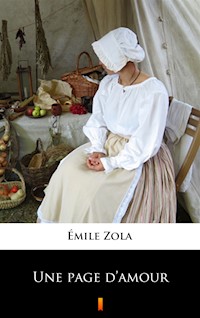 Une page d’amour - Émile Zola - ebook