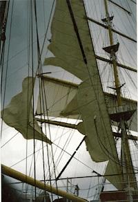 ELIZABETHA - Wolf-Ulrich Cropp - ebook