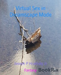 Virtual Sex in Dreamscape Mode - Joseph P Hradisky Jr - ebook