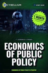 Economics of Public Policy - Cybellium - ebook