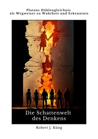 Die Schattenwelt  des Denkens - Robert J. Küng - ebook