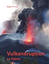 Vulkaneruption - Roger P. Frey - ebook