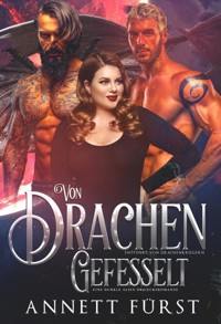 Von Drachen gefesselt - Annett Fürst - ebook