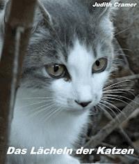 Das Lächeln der Katzen - Judith Cramer - ebook