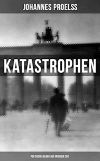 Katastrophen: Poetische Bilder aus unserer Zeit - Johannes Proelß - ebook