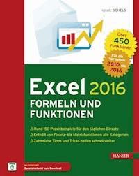 Excel 2016 Formeln und Funktionen - Ignatz Schels - ebook