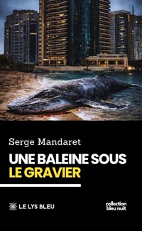 Une baleine sous le gravier - Serge Mandaret - ebook