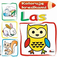 Koloruję kredkami Las - Kwiecińska Mirosława - książka