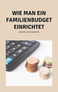 Wie man ein Familienbudget einrichtet - Andre Sternberg - ebook