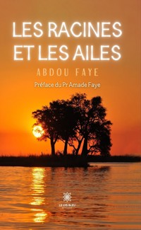Les racines et les ailes - Abdou Faye - ebook