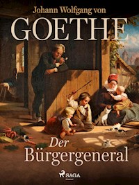 Der Bürgergeneral - Johann Wolfgang von Goethe - ebook