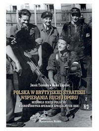 Polska w brytyjskiej strategii wspierania ruchu oporu - Jacek Tebinka, Zapalec Anna - książka