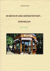 In Gefahr und größter Not...  Drehbuch - Detlef Zeiler - ebook