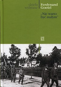 Nie warto być małym - Ferdynand Goetel - książka