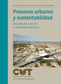 Procesos urbanos y sustentabilidad - José Alberto Aguirre Anaya - ebook