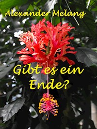 Gibt es ein Ende? - Alexander Melang - ebook
