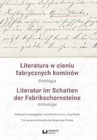 Literatura w cieniu fabrycznych kominów / Literatur im Schatten der Fabrikschornsteine -  - książka