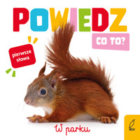 Powiedz co to? W parku - zbiorowa praca - książka