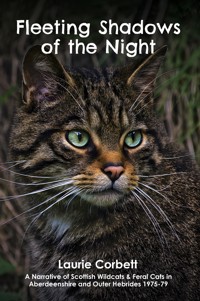 Fleeting Shadows of the Night - Laurie Corbett - ebook