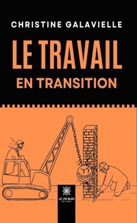 Le travail en transition - Christine Galavielle - ebook