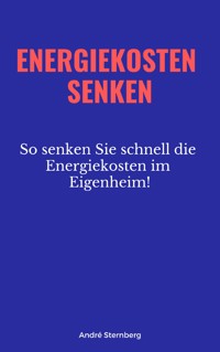 Energiekosten senken - Andre Sternberg - ebook