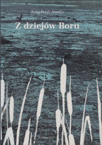 Z dziejów Boru - Zofia Przybyłowska - ebook