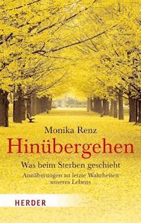 Hinübergehen - Monika Renz - ebook