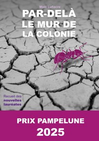 Par-delà le Mur de la Colonie - Maël Lufiacre - ebook