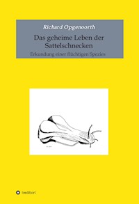 Das geheime Leben der Sattelschnecken - Richard Opgenoorth - ebook
