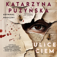 Ulice ciem - Katarzyna Puzyńska - ebook + audiobook + książka