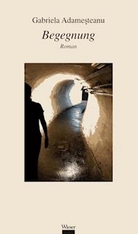 Begegnung - Gabriela Adameșteanu - ebook