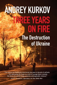 Three Years on Fire - Kurkov Andrey - ebook