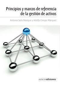 Principios y marcos de referencia de la gestión de activos - Antonio Sola Rosique - ebook