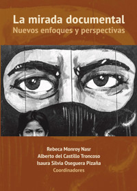 La mirada documental - Rebeca Monroy Nasr - ebook