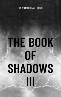 The Book of Shadows Vol 3 - Mary Elizabeth Penn - ebook