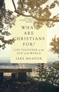 What Are Christians For? - Jake Meador - ebook