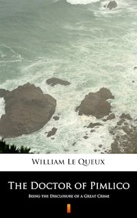 The Doctor of Pimlico. Being the Disclosure of a Great Crime - William Le Queux - ebook