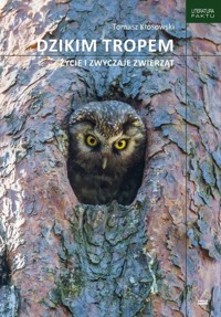 Dzikim tropem Życie i zwyczaje zwierząt - Kłosowski Tomasz - książka