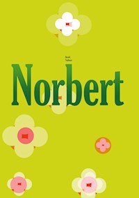 Norbert - Harald Taglinger - ebook