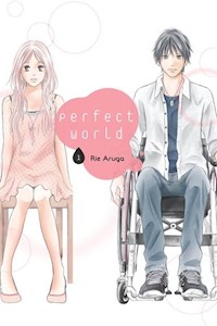Perfect World #01 - Aruga Rie - książka