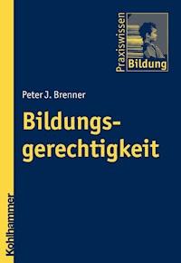 Bildungsgerechtigkeit - Peter J. Brenner - ebook