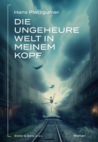 Die ungeheure Welt in meinem Kopf - Hans - ebook